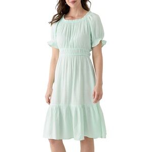 Wonderly Light Green Midi Skirt